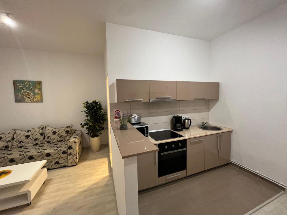 Апартаменти Apartament Teodora Сібіу Екстер'єр фото
