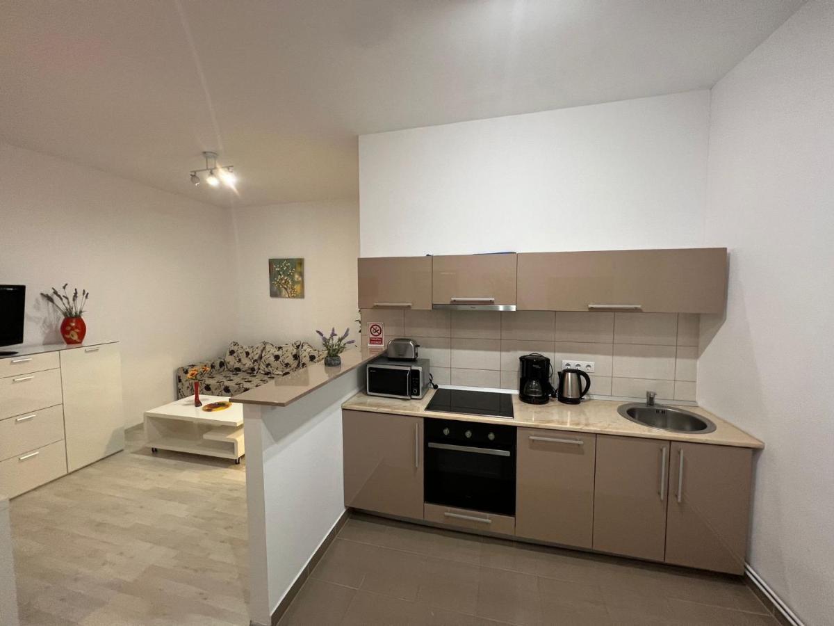 Апартаменти Apartament Teodora Сібіу Екстер'єр фото