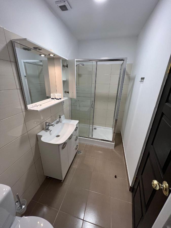 Апартаменти Apartament Teodora Сібіу Екстер'єр фото